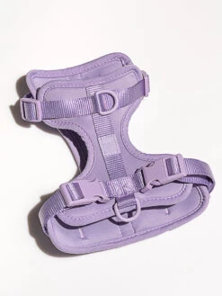 Wild One Harness 9 Wild One Harness -Outdoor Voices Shop WO VM Studio PDP Harness Lilac 01 Print 1 Oh6bf4J