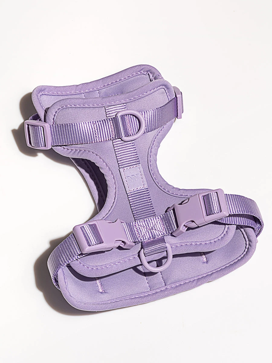 Wild One Harness 5 Wild One Harness - Image 3