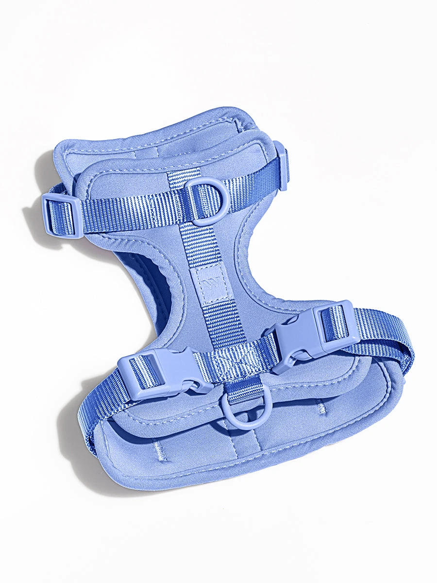 Wild One Harness 6 Wild One Harness - Image 4