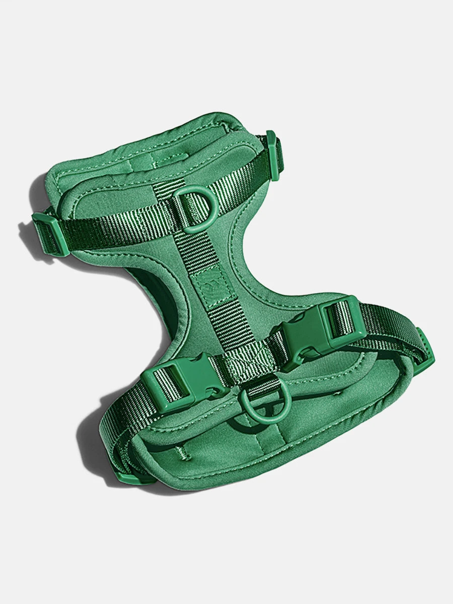 Wild One Harness 4 Wild One Harness - Image 2