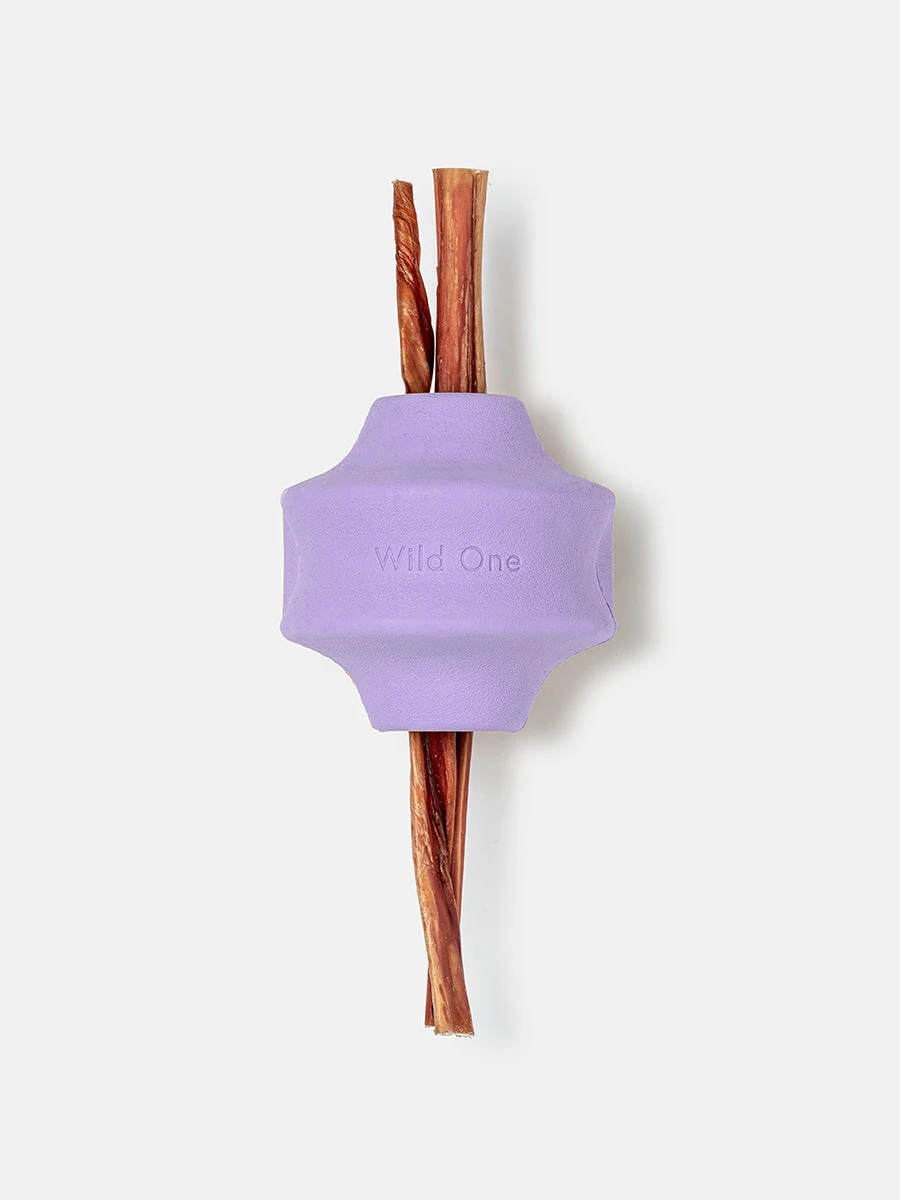 Wild One Twist Toss Dog Toy 4 Wild One Twist Toss Dog Toy - Image 2